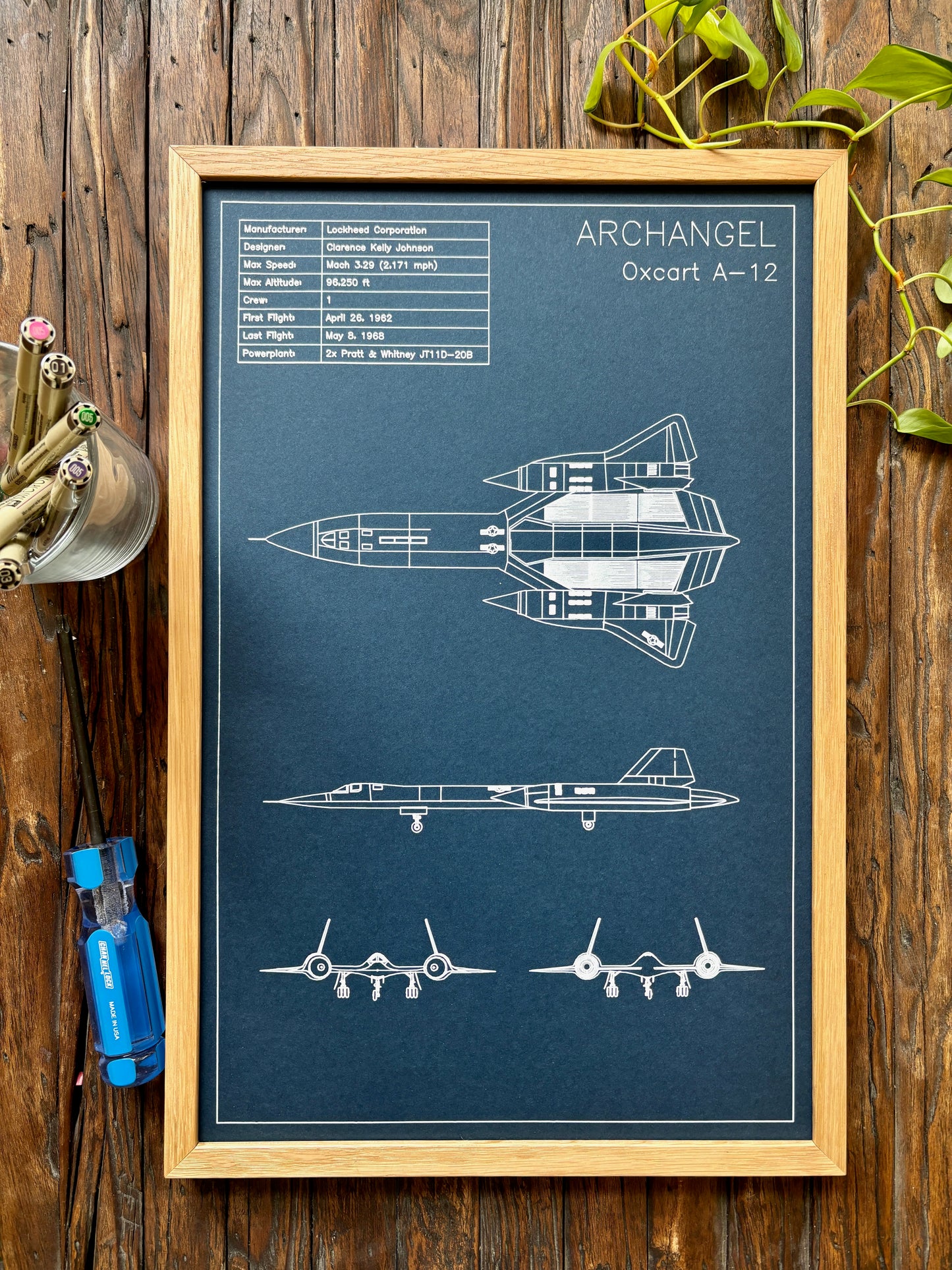 Custom Aviation Blueprint Art